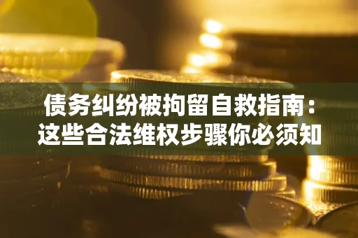 武汉债务纠纷被拘留自救指南：这些合法维权步骤你必须知道！