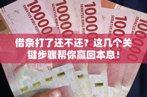 武汉借条打了还不还？这几个关键步骤帮你赢回本息！