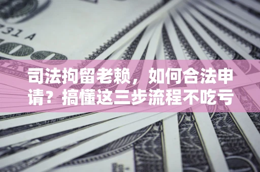 武汉司法拘留老赖，如何合法申请？搞懂这三步流程不吃亏！