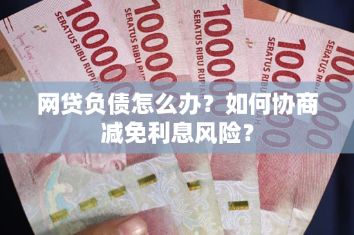 武汉网贷负债怎么办？如何协商减免利息风险？