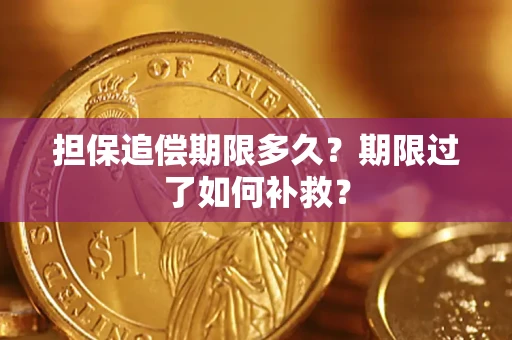 武汉担保追偿期限多久？期限过了如何补救？