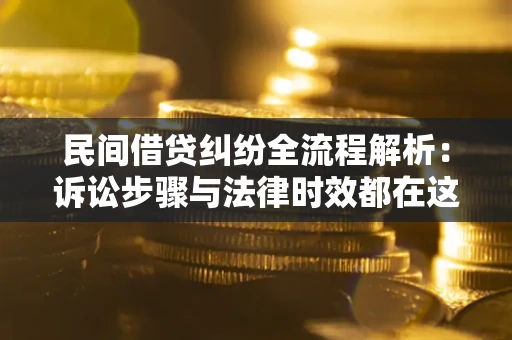 武汉民间借贷纠纷全流程解析：诉讼步骤与法律时效都在这儿了
