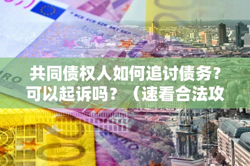 武汉共同债权人如何追讨债务？可以起诉吗？（速看合法攻略）