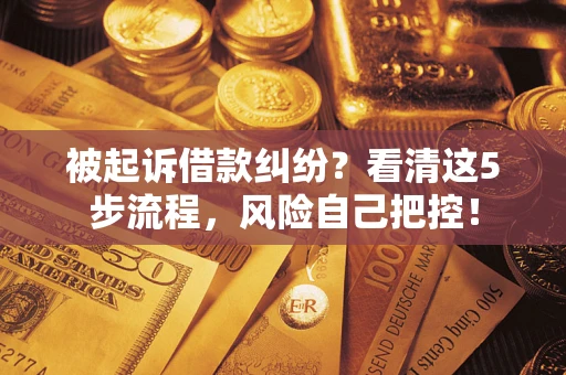 武汉被起诉借款纠纷？看清这5步流程，风险自己把控！