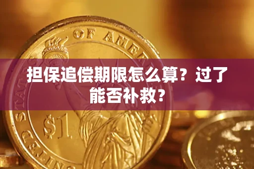 武汉担保追偿期限怎么算？过了能否补救？